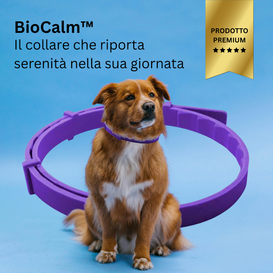 BioCalm™ – Il collare che trasforma l’ansia del tuo cane in calma in pochi minuti