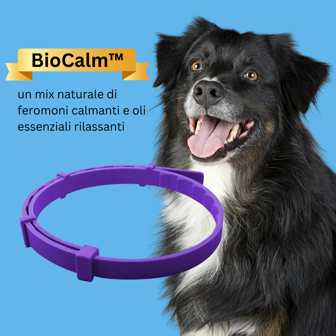 BioCalm™ – Il collare che trasforma l’ansia del tuo cane in calma in pochi minuti