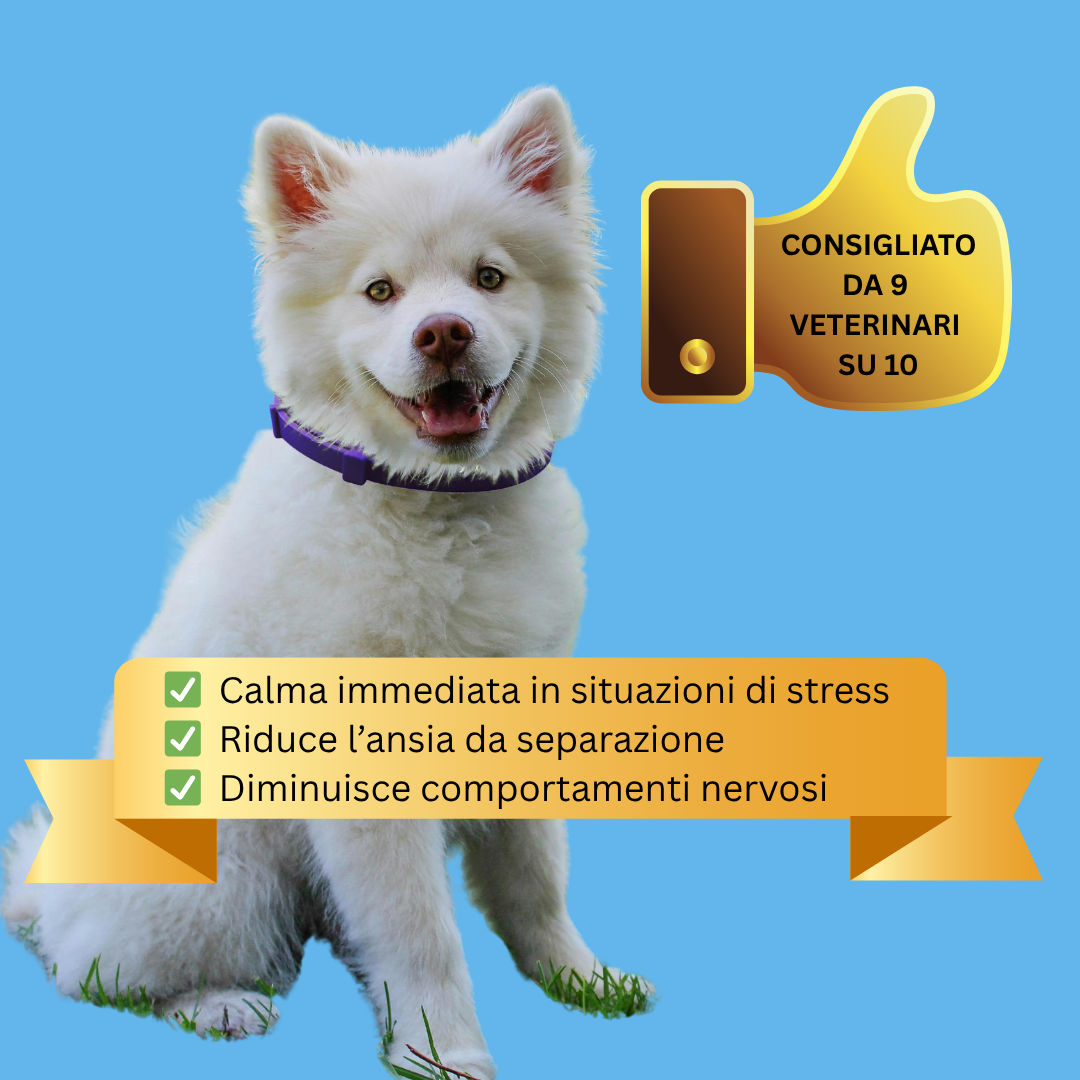 BioCalm™ – Il collare che trasforma l’ansia del tuo cane in calma in pochi minuti