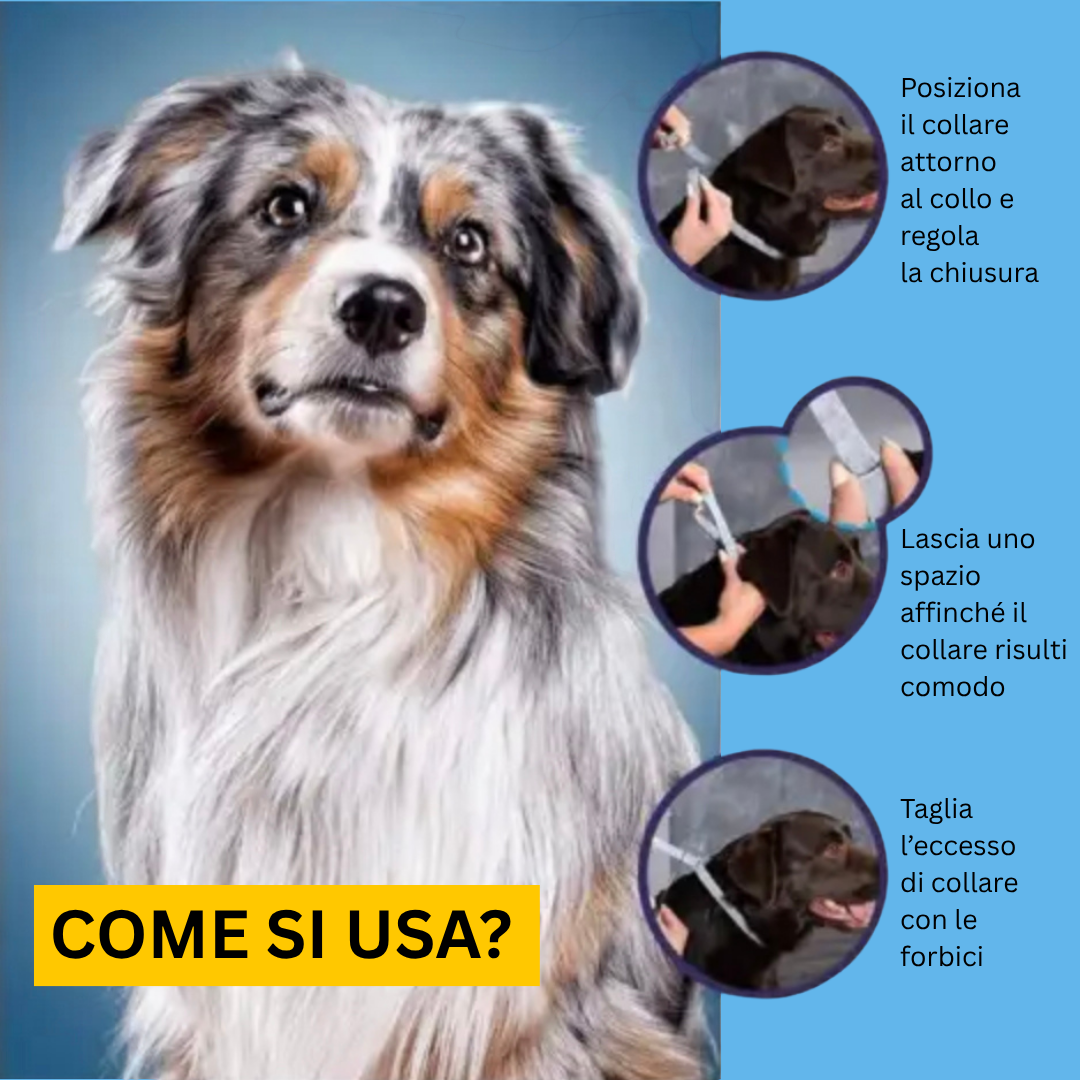 BioCalm™ – Il collare che trasforma l’ansia del tuo cane in calma in pochi minuti
