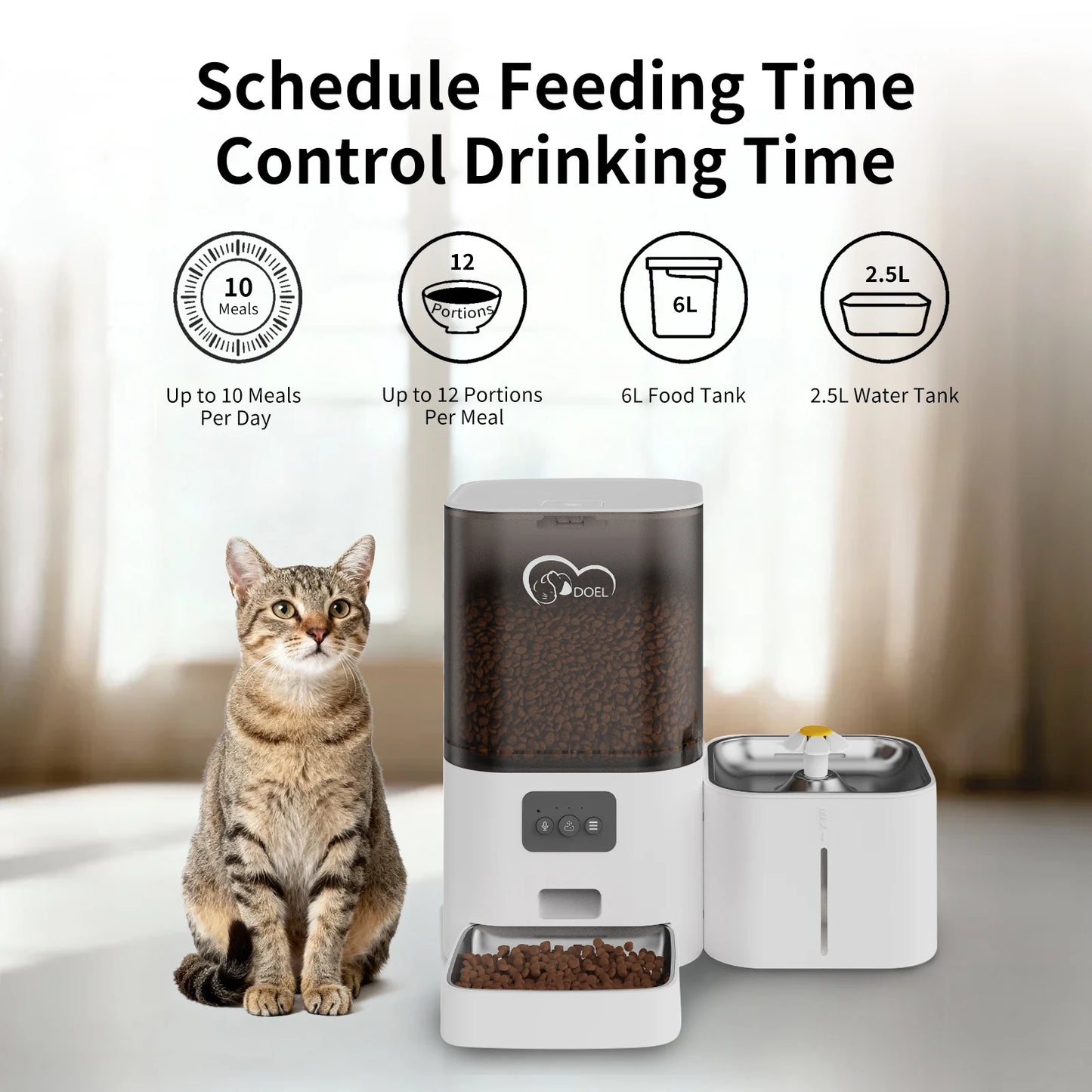Distributeur automatique connecté avec fontaine – Animora™