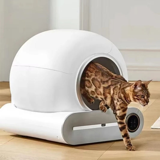 Bac à Litière Autonettoyant Connecté pour Chat
