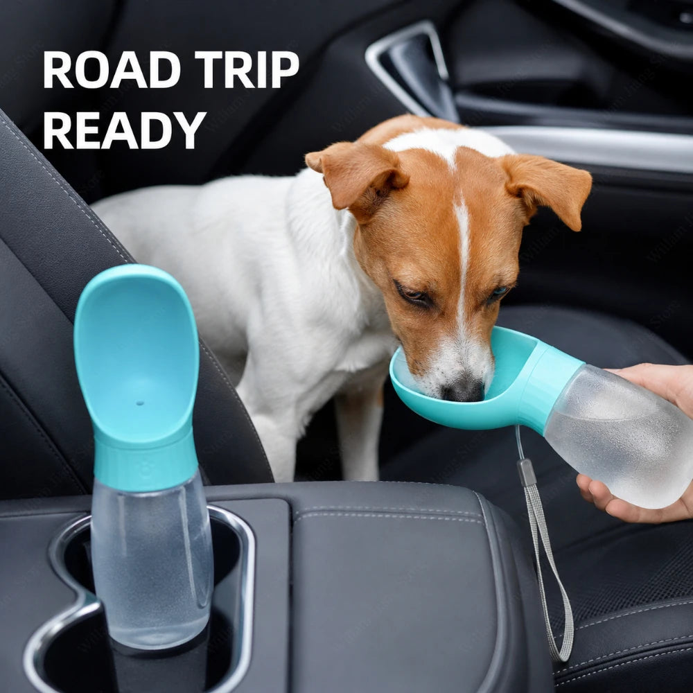 Gourde pour chien et chat avec gamelle intégrée